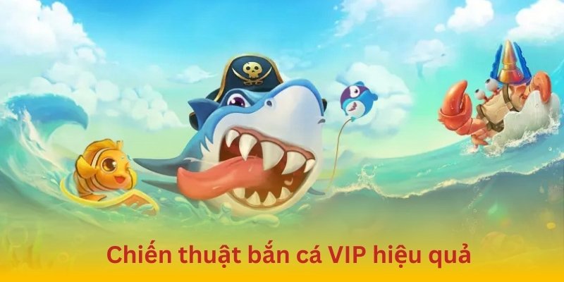 Bật mí bí quyết săn thưởng lợi hại nhất