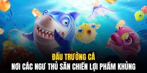 đấu trường cá 77win