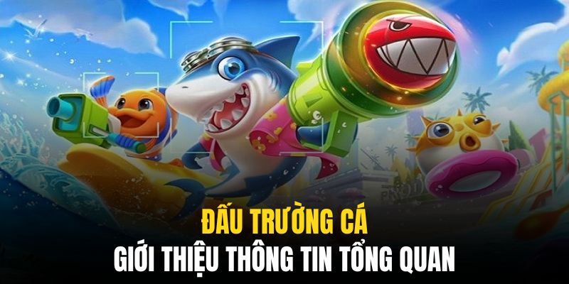 Sân chơi thú vị với loạt tính năng đặc biệt