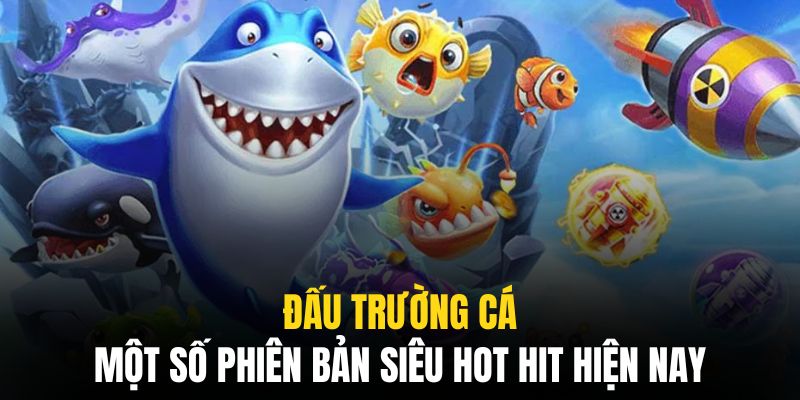 Những siêu phẩm hot hit tại đấu trường cá