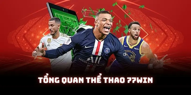 Thông tin cơ bản về sảnh thể thao 77win